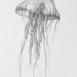 Captivating Creatures: 19 Inspiring Jellyfish Sketches to Ignite Your Creativity