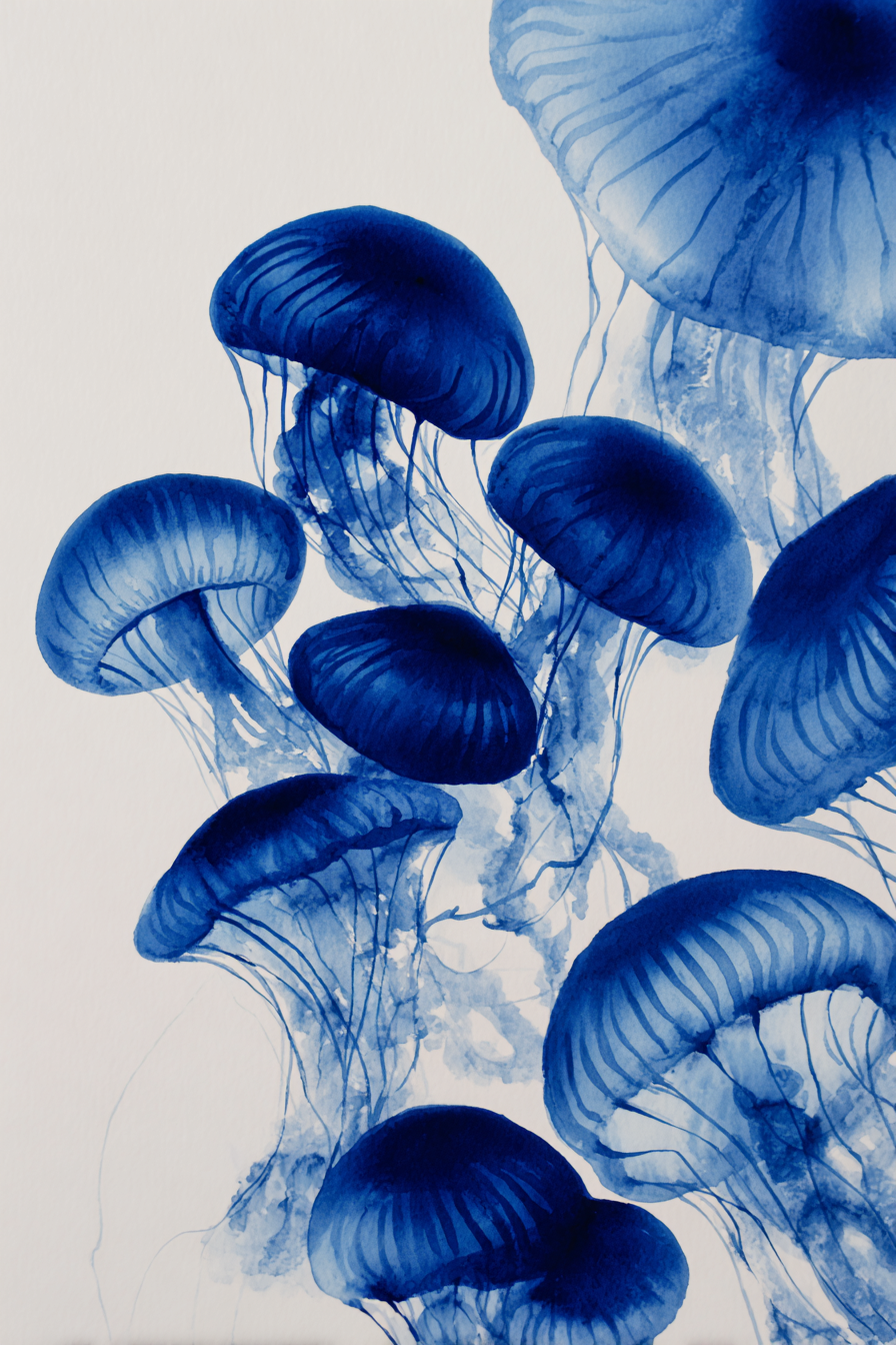 Jellyfish_Painting_12