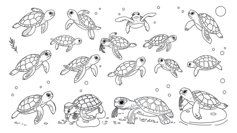 cute turtle art ideas